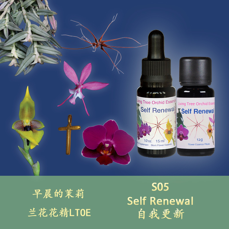 S05 self-renewing release complains about painful self renewal of British life tree Lanflower semen body granules