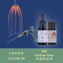 P04 positive flow positive brings good luck to the future UK LTOE orchid flower essence liquid granules