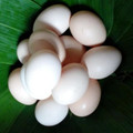 飞童农业