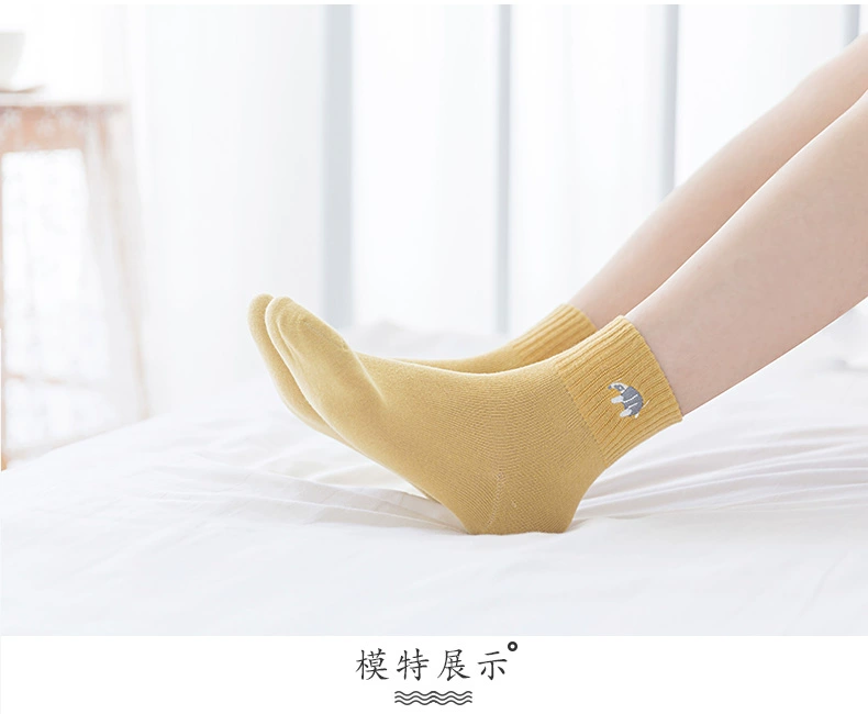 Vớ nữ vớ cotton phiên bản Hàn Quốc của vớ cotton dày Nhật Bản Học sinh Hàn Quốc mùa thu và mùa đông tất nữ dài triều mùa thu đông