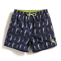 GKA1204 H963 Гиппокамп -бомба с четырьмя