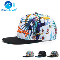 Cover waves hat male Winter Korean version of tide hip hop hat street dance cap sunscreen female autumn sun hat flat cap