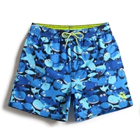 GKA1461 H1061 рыба по всем сторонам рыбы