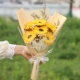 6 Blossom Sunflower +INS Фонарь для ветровой сумочки