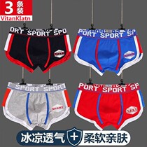 Hon Star Gram Trendy Personality Mens Pants Mens Flat Corner Pants Pure Cotton Bacteriostatic Comfort Sports Guys Four-corner Pants