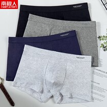 Antarctic Peoples junior high school raw underwear male pure cotton 13 large child flat corner pants 14-year-old teen four-corner pants 15-year-old boy