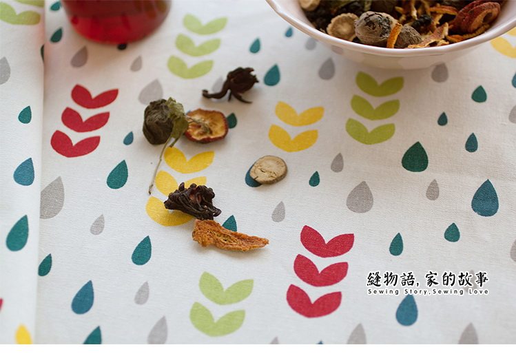 �����ﱱŷ�Ͳ�C22PM79