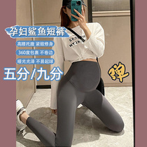 Pregnant women leggings Spring and Autumn wear nine points thin belly shark shorts thin autumn stretch Barbie riding pants