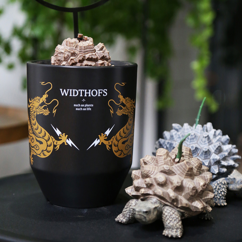 Wos Turtle Shell Dragon Flower Pot Block Root Ceramic Tall Pot Trendy Plant Ivory Palace Turtle Shell Agave Widthofs