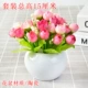 Phòng khách trong nhà phòng rượu tủ trưng bày mô phỏng nhựa giả hoa nhà chậu đặt trang trí bàn trang trí nhỏ - Trang trí nội thất decor phòng ngủ