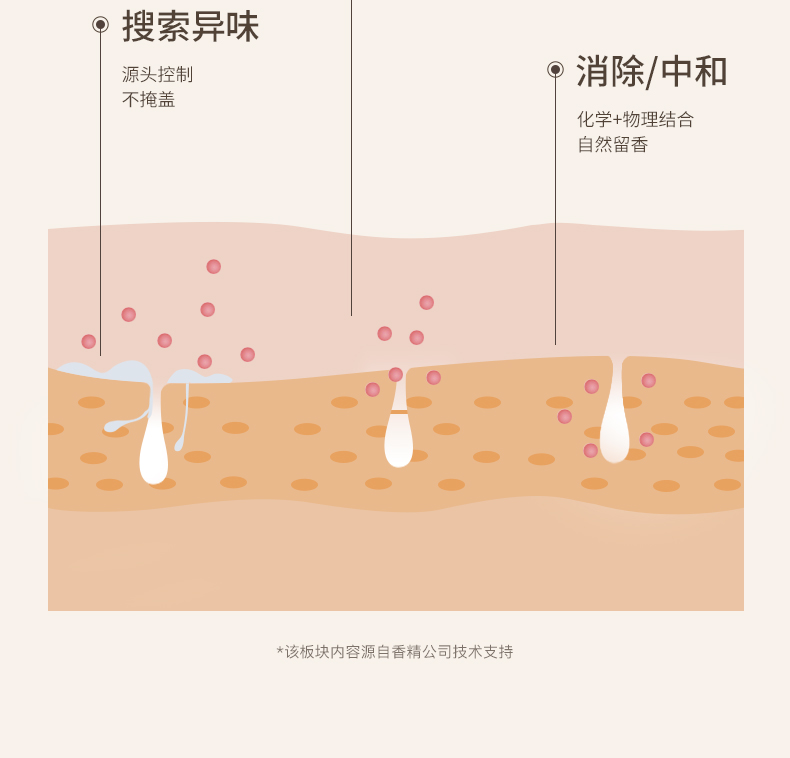 【中国直邮】小红书爆款 水之蔻 止汗露 清新走珠香体露 20ml  白桃香槟