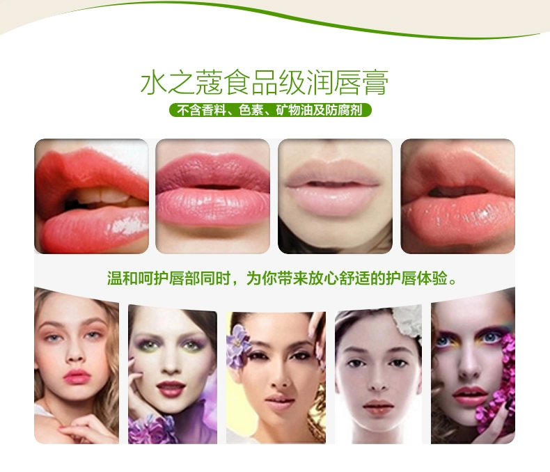 49 hai mảnh! Nước dưỡng ẩm Lip Balm Dưỡng Ẩm Dưỡng Ẩm Chăm Sóc Môi Không Màu Chống Tinh Thể Bạc Hà Giữ Ẩm