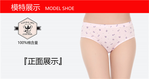 Quần sịp 6 hộp quà tặng Quần cotton cotton cao cấp dành cho nữ Quần cotton cỡ lớn - Bộ quà tặng quần lót nữ cao cấp