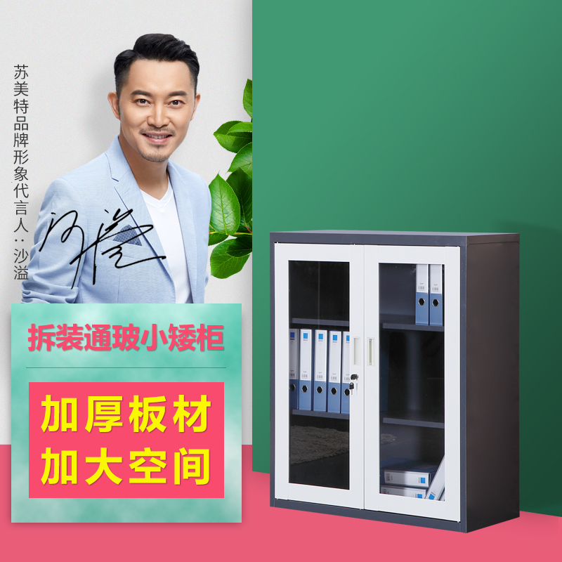 FILING CABINET GLASS DOOR SHORT CABINET REMOVABLE STEEL PAIR OPEN DOOR SMALL CABINET BICOLOURED INFORMATION CABINET WITH LOCK SEMI-CUT SHEET CABINET
