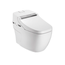 Nine shepherd bathroom toilet Z1D6090-S0-CJM305