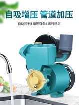 Rural dual-control pump hot and cold general agricultural pressure silent pump self-priming Booster Water Pump water suction machine household