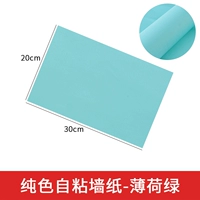 Обои для самостоятельного шарика с чистым цветом мемориально зеленый макарон (5 фотографий)