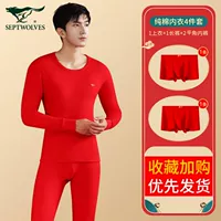 Fortune 4 -Piece Set