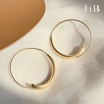 Matte gold exaggerated light luxury high-end feeling ring earrings female autumn and winter 2021 New Tide fashion versatile earrings