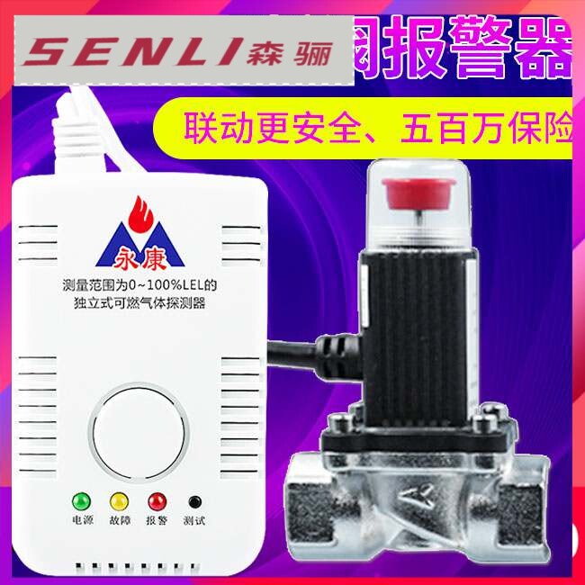 Home kitchen gas wall-hung boiler gas gas automatic shut-off valve solenoid valve gas-cut anti-leakage alarm