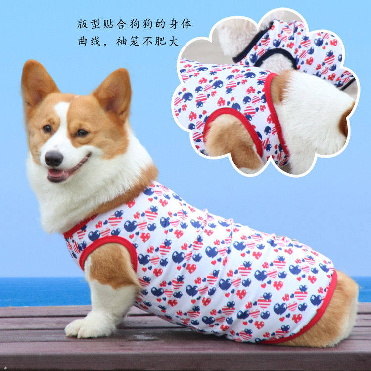 Teddy Pooch Belly Pocket Waterproof Pet Raincoat Kokie Dog Warm And Belly Protection Against Cold Clothes Summer Thin Vest