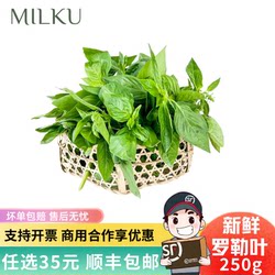 Fresh Basil Leaves, Not Nine-Layered Basil, Western Cuisine Spice, Fresh Vegetables for Making Pesto, Hotel Western Cuisine Spice