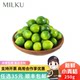 Hainan Green Kumquat 250g Small Kumquat Fresh Fruit Small Green Kumquat for Milk Tea Shops, Fruit Drinks, and Juice
