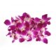 Fresh Orchids, 250g, Loose-Packed, for Plate Decoration, Flowers for Hot Pot Garnish