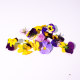Fresh Pansies, Three-Color Pansies, Decorative Flowers and Plants for Baking, Cake Plating, Western Cuisine, Hotel Cocktail Plating, Cold Dish Garnish