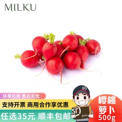 Fresh Cherry Radish 500g Red-Skinned Mini Radish Red Radish Small Red Round Radish for Western Food Decoration