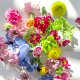 Freshly Arranged Decorative Flowers and Herbs for Hotel Western Cuisine, Cake Baking, Cold Dishes, Sushi Decoration, Embellishments with Pansies and Fragrant Wood