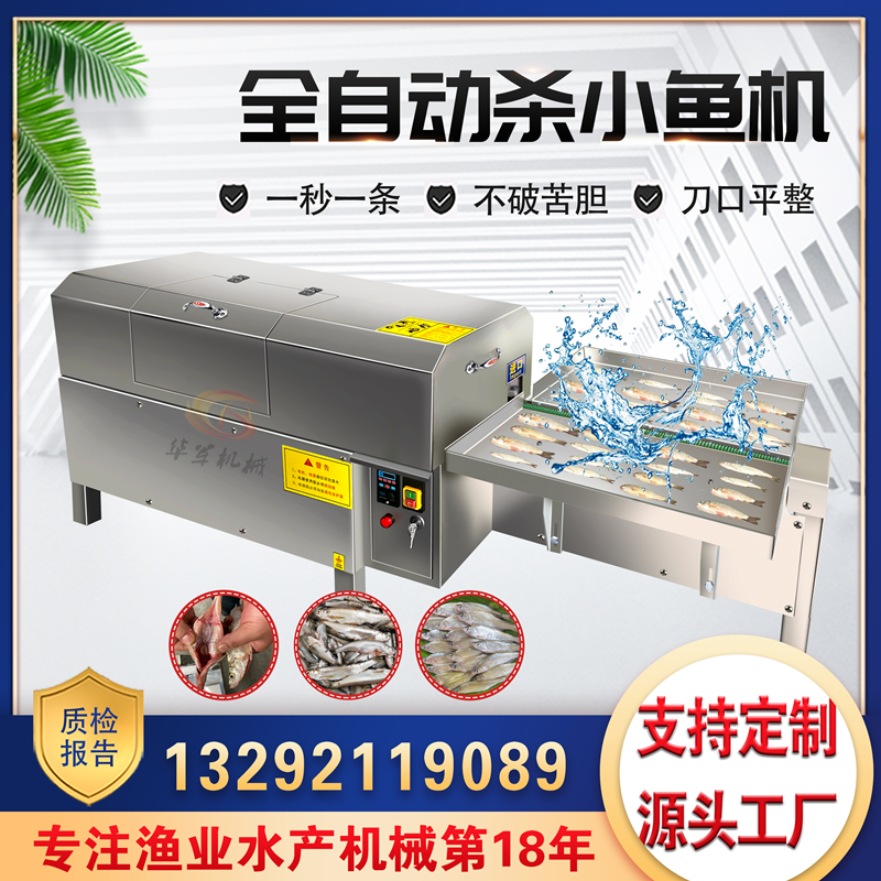Automatic small fish killing machineSmall commercial killing small white stripe machineBelly opening and gutting automatic fish slaughtering machine fish cutting machine