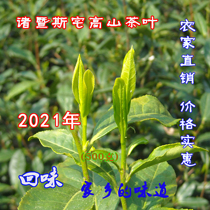 In 2021 the new tea Mingchens house Alpine Tea Zhuji specialty stone tea Farmhouse No pesticide first crop spring tea
