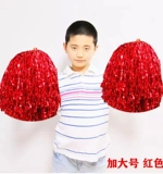 Lala Team Flower La La La La La La La La Las Полная черлидинг команды