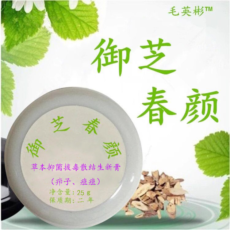 Herbal Ointment for Removing Heat, Treating Pimples, Acne, Boils, Bedsores, and Ulcers, and for Detoxification and Pus Removal