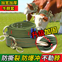 Cow neck collar cow rope cattle and sheep dog collar copper bell enlarged and thickened cow faucet special rope safety buckle