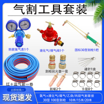 G01-30 type 100 type cutting gun gas cutting tool set Oxygen meter propane gas acetylene pressure reducer cutting knife valve
