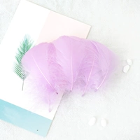 Светло-фиолетовый