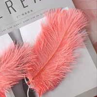 Арбуз красный 15-20 волосы верблюжьей птицы 10