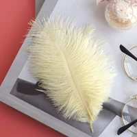 10 Гуз Желтые 15-20 Верблюж