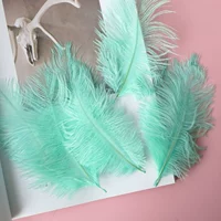 Голубая и зеленая 15-20 волос верблюжьей птицы 10