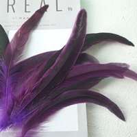 Фиолетовый 20-25 коктейль 50 корней