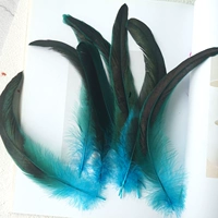 Озеро синий 20-25 коктейль 50 корней