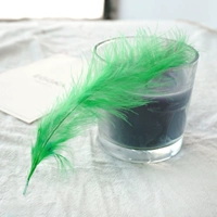 Флуоресцентный зеленый