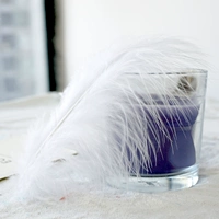 Белый/полный бархат