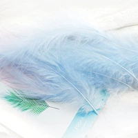 Светло-голубой бархат с острым хвостом 50 шт.