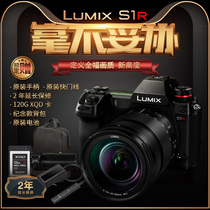 Panasonic Panasonic DC-S1RMGK DC-S1RMGK 24-105mm S1R S1R painting web-free digital camera