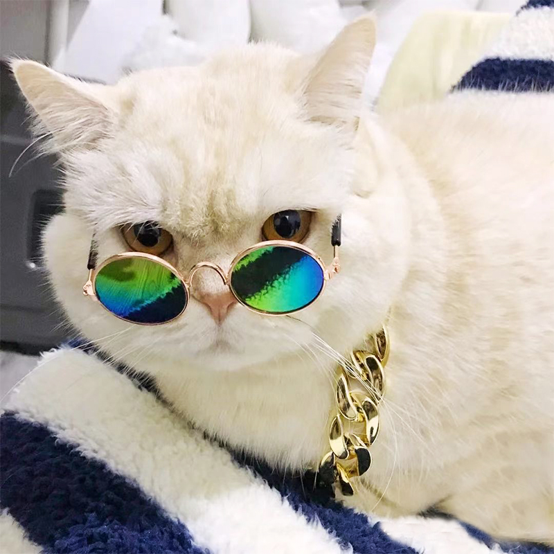 Pet small glasses round pet sunglasses metal frame pet sunglasses Xiao Mao puppy trend decorative glasses