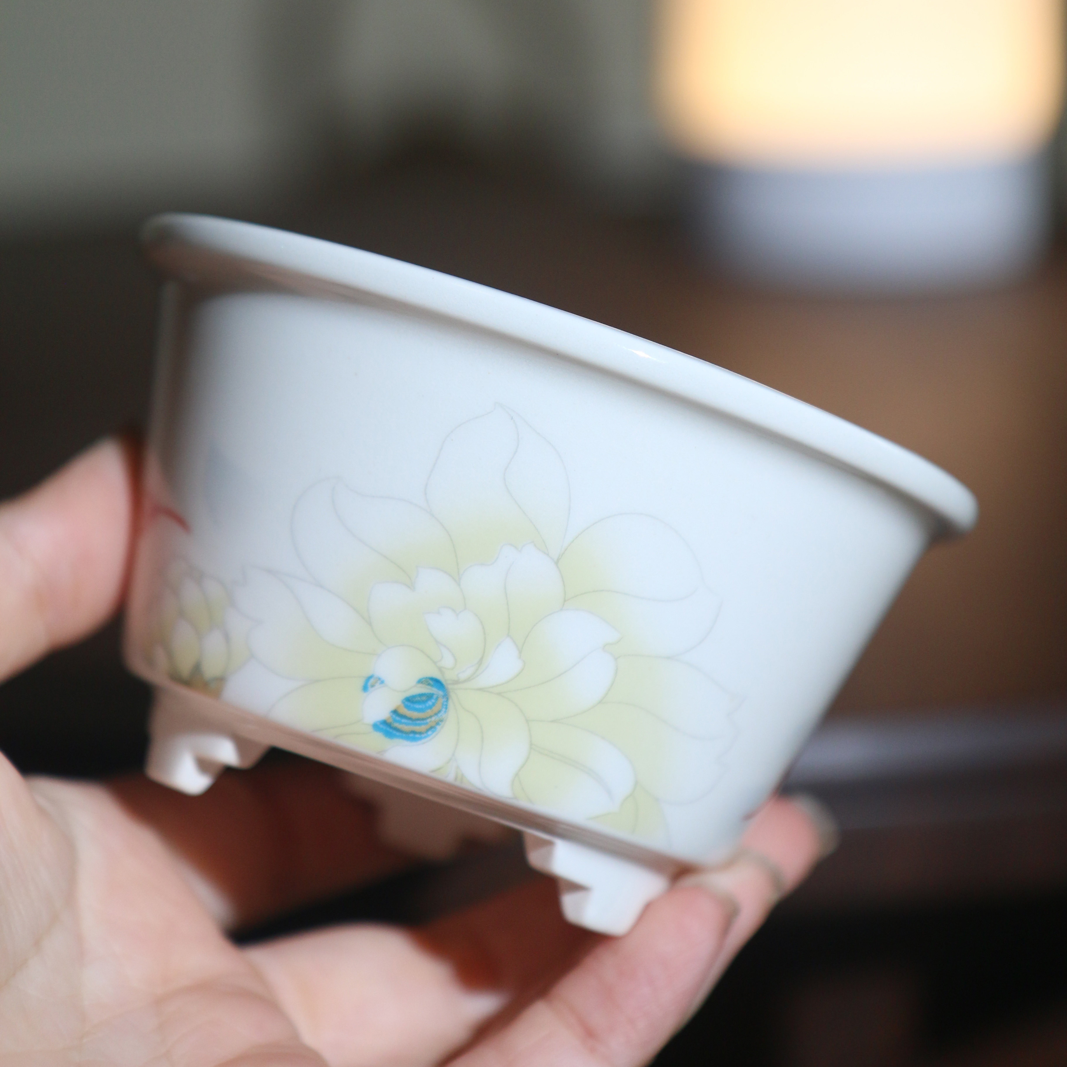 紫砂花盆彩绘手绘星宇家陶瓷盆景盆美工盆白瓷盆手工盆桌面盆栽