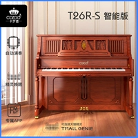 T26-S Итальянский римский столб [Полная умная модель]